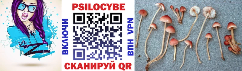Галлюциногенные грибы Cubensis цены наркотик Новоульяновск